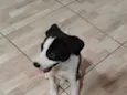 Abbath
