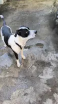 Oscar