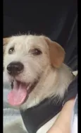 Marley