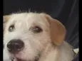 Marley