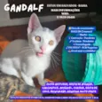 Gandalf