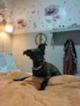 Yuki 