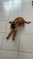 Pandora