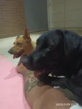 Madara e Kira