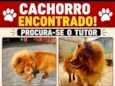 Não seo