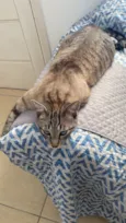 Hugo