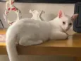 Charles 