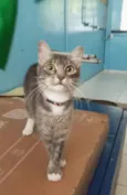 Lupita
