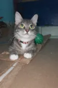 Lupita