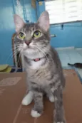 Lupita