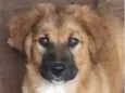 Marley 