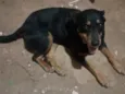 Hera