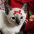 Nina 