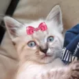Maggie 