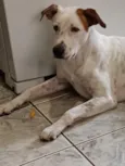 Théo 