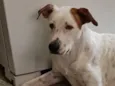 Théo 