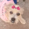 Mel 