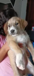 Kiara