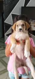 Kiara