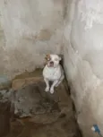Bob