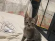 não tem nome 