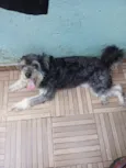 NINA