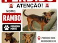 Rambo