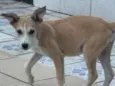 Lola