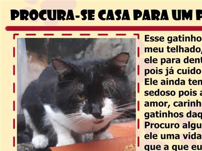 Bubu - Fortaleza