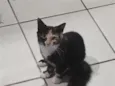 Marie