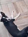 Mally