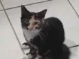 Marie