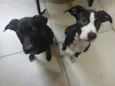 Maya e Lola