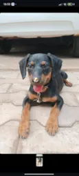 zyggy 