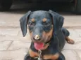 zyggy 