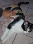 Esmeralda