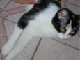 Esmeralda