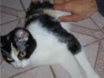 Esmeralda