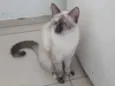 Virgo
