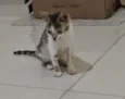 Mel
