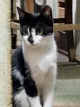 Chloe