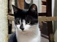 Chloe