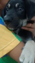Bob