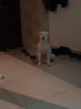 Princesa