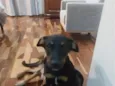 Romeu