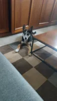 Julieta