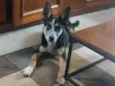 Julieta