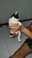 ainda não tem