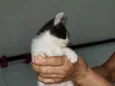 ainda não tem