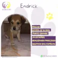 Endrick
